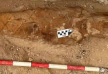 Un equipo de arqueólogos españoles identifica un papiro de la Ilíada en una tumba egipcia