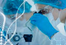 Una nanopartícula desarrollada en una universidad española abre una vía contra el cáncer