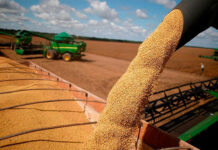 Argentina logra una cosecha récord en la campaña agrícola 2025/2026
