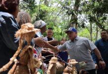 Cabello: Sierra falconiana se proyecta como potencia agrícola