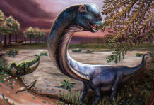 Descubren en Tailandia ‘el último titán’, el dinosaurio más grande del sudeste asiático