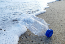 Descubren los obstáculos que dificultan el reciclaje completo de las botellas de plástico