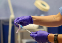EMA busca tratamientos contra el hantavirus y alerta de bulos sobre vacunas del COVID