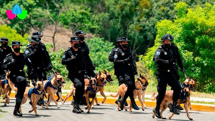 Egresan 116 funcionarios como guías canes para fortalecer la seguridad ciudadana