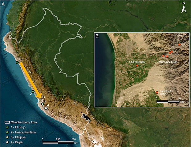 El-ADN-revela-la-migración