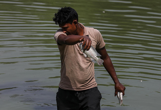 El calor extremo y la contaminación dejan cientos de peces muertos en un lago de la India