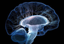 El cerebro sigue analizando en estados de inconsciencia, como la anestesia