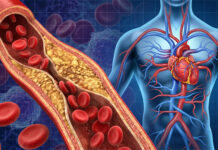 El hábito que puede ser clave para tener arterias más saludables a largo plazo