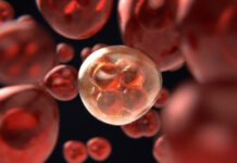 Estudios indican que fármacos GLP-1 tienden a reducir riesgo de progresión del cáncer