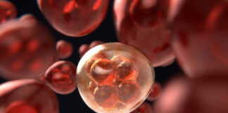 Estudios indican que fármacos GLP-1 tienden a reducir riesgo de progresión del cáncer