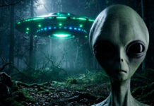 Exinvestigador de la CIA afirma que existen cuatro tipos de especies extraterrestres
