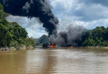 Expansión de redes criminales acelera deterioro ambiental de la Amazonía