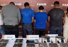 FANB arresta a seis integrantes del GEDO “El Darwin” con cargamento de droga