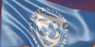 FMI pide evitar medidas que «empeoren» la crisis económica global