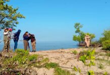 Global Big Day: Venezuela busca el top mundial con 1.400 especies registradas