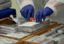 Hallan en un puerto de Ecuador 294 kilos de cocaína que iban a ser enviados a Europa