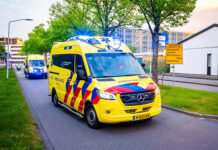 Hospitalizada en Ámsterdam una azafata con posibles síntomas de hantavirus