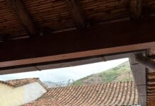 FUNDAPARQUES desplegó jornada de atención integral para los abuelos del municipio Revenga