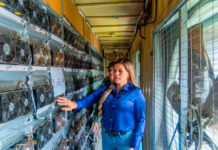 Incautan 310 máquinas de minería digital ilegal en Bolívar