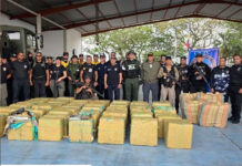 Incautan más de 3.5 toneladas de droga en Apure