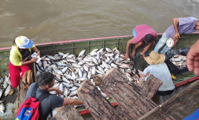 Inicia veda para la pesca comercial artesanal en Zona B del Río Orinoco