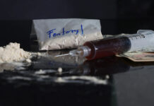 Japón y EE.UU. refuerzan su cooperación frente al contrabando de drogas como el fentanilo