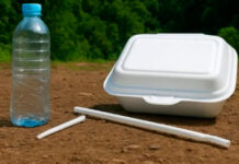 La FAO alerta sobre el plástico reciclado en envases de alimentos