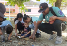 La Guaira planea reforestación con siembra de 10 mil plantas