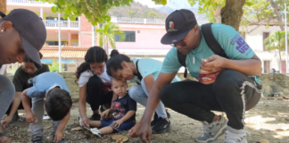 La Guaira planea reforestación con siembra de 10 mil plantas