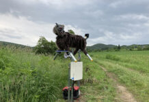 ‘Monster Wolf’, el temido robot lobo que planta cara a los ataques de osos en Japón