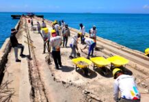 Muelle de Pampatar presenta 40% de avance y abrirá en septiembre