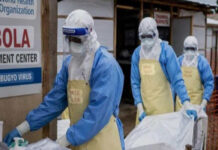 OMS reconoce alarma por magnitud y rapidez del brote de ébola