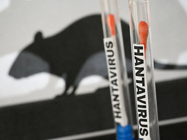 Qué riesgos representa la cepa Andes del hantavirus
