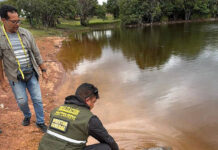 Refuerzan vigilancia y protección de la tortuga Arrau en Apure