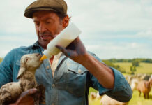 ‘The Sheep Detectives’, cuando un crimen une a un rebaño para impartir justicia