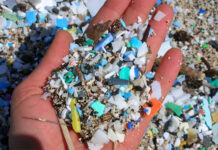 Un estudio alerta que los microplásticos debilitan la absorción de carbono en los océanos