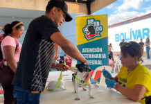 Unos 400 animales atendidos en jornada veterinaria en el municipio Bolívar