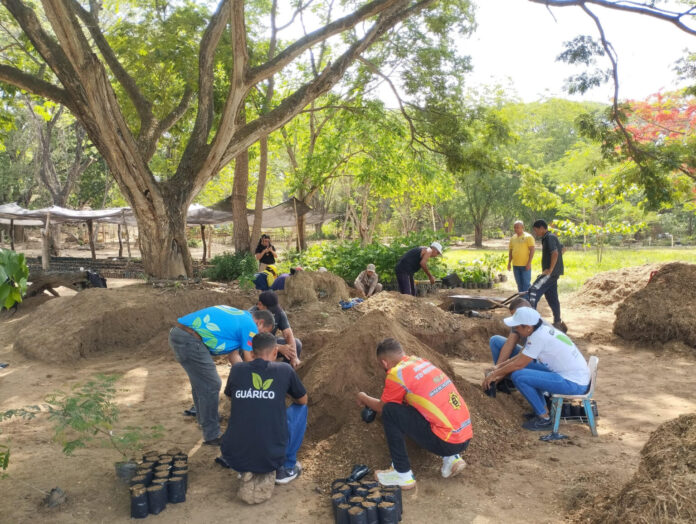 Viveros de Guárico entran en fase intensiva para reforestación masiva