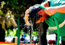 Alemania espera que se alcancen hasta 40 grados en ola de calor