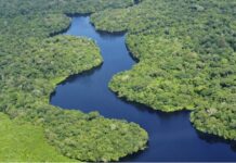 Amazonía brasileña recupera sus niveles de agua tras dos años de sequía