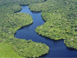 Amazonía brasileña recupera sus niveles de agua tras dos años de sequía