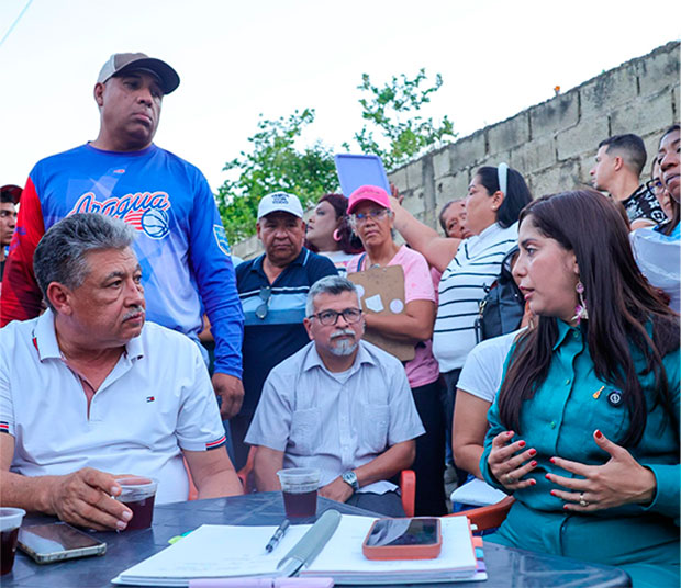 Anuncian-sustitución-de-colectores-en-Libertador