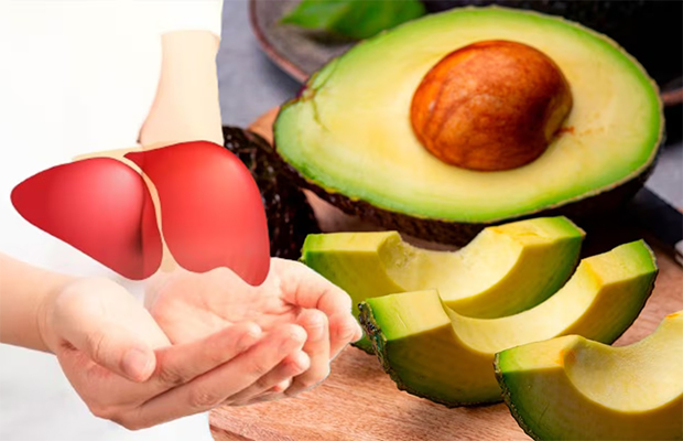 Comer aguacate regularmente ayuda a cuidar la salud del hígado