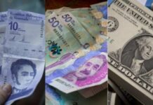 Comerciantes de Táchira:»El mercado en efectivo nos trajo una informalidad donde no se tributa»