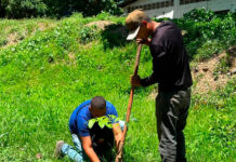 Con más 4 mil plantas el Plan Chuquisaca reforesta el sector El Socorro en Revenga