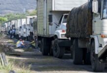Consetransporte busca «tener data real de las regiones frente a problemas del sector»