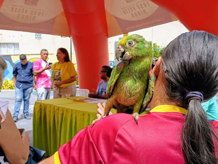 Crean-la-Unidad-Municipal-de-Gestión-y-Protección-Animal-en-Ribas