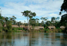 Crecida de río en Amazonas generó el desplazamiento de la comunidad Yanomami