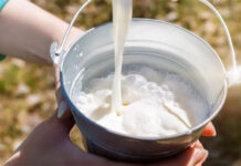 ¿Cuáles otros nutrientes y beneficios aporta la leche aparte del calcio?