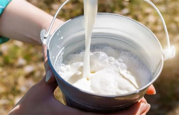 Cuáles otros nutrientes y beneficios aporta la leche aparte del calcio